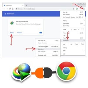 Internet Download Manager